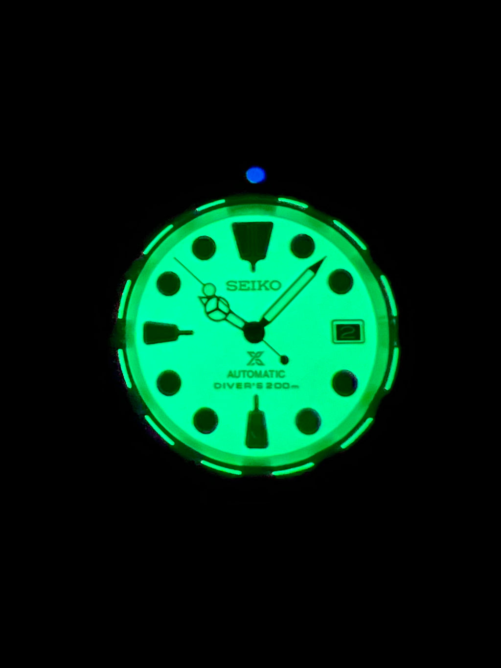 Blizzard Submariner Seiko Mod